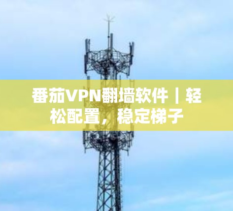 番茄VPN翻墙软件｜轻松配置，稳定梯子