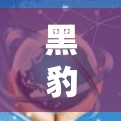 黑豹VPN安全可靠，让你拥有最安全的VPN体验