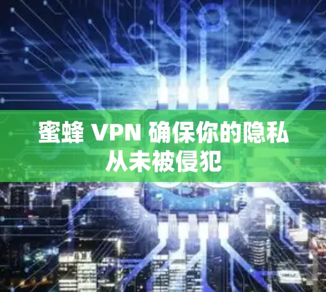 蜜蜂 VPN 确保你的隐私从未被侵犯
