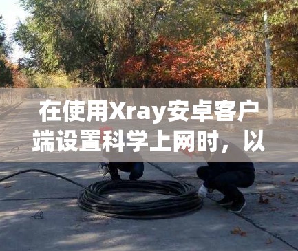 在使用Xray安卓客户端设置科学上网时，以下是一个清晰的步骤指南，帮助你正确设置相关选项并确保设置生效