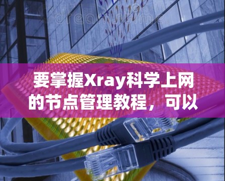 要掌握Xray科学上网的节点管理教程，可以按照以下步骤进行学习和实践