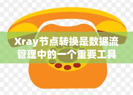 Xray节点转换是数据流管理中的一个重要工具，帮助用户将低级别节点转换为高级节点，优化数据结构和管理。以下是对Xray节点转换的详细指南