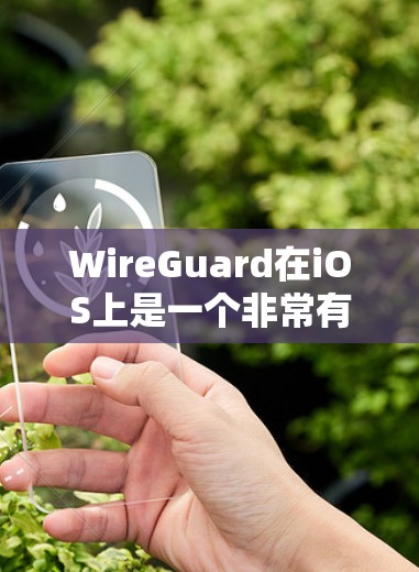 WireGuard在iOS上是一个非常有用的VPN工具，但它在安装和使用过程中需要遵循一定的步骤和注意事项。以下是一个详细的步骤指南，帮助你顺利安装和使用WireGuard在iOS上