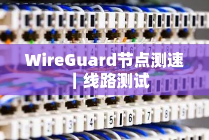 WireGuard节点测速｜线路测试