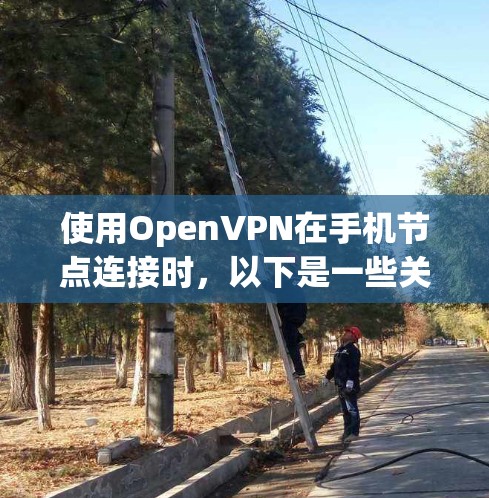 使用OpenVPN在手机节点连接时，以下是一些关键步骤和注意事项