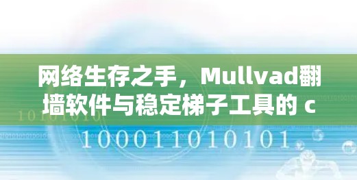 网络生存之手，Mullvad翻墙软件与稳定梯子工具的 combined Power