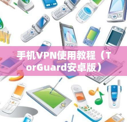 手机VPN使用教程（TorGuard安卓版）