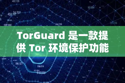 TorGuard 是一款提供 Tor 环境保护功能的客户端，旨在保护用户在 Tor 网络中的访问和应用。以下是使用 TorGuard 的步骤