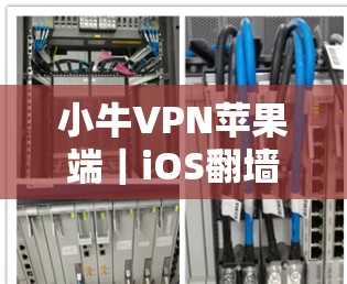 小牛VPN苹果端｜iOS翻墙工具