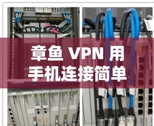 章鱼 VPN 用手机连接简单教程