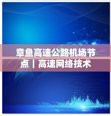 章鱼高速公路机场节点｜高速网络技术