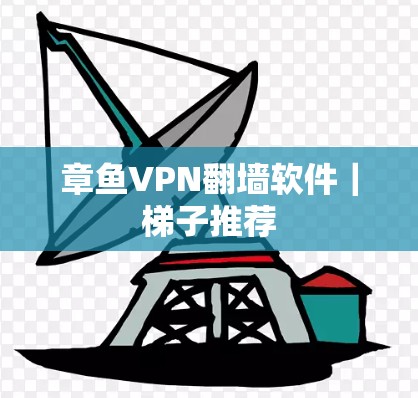 章鱼VPN翻墙软件｜梯子推荐