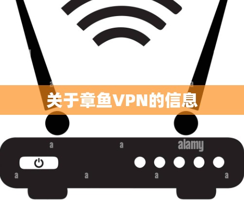 关于章鱼VPN的信息