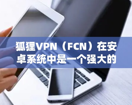 狐狸VPN（FCN）在安卓系统中是一个强大的网络VPN工具，通常由FCN项目提供。以下是狐狸VPN在安卓系统中的安装步骤和手机VPN教程的建议