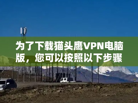 为了下载猫头鹰VPN电脑版，您可以按照以下步骤操作