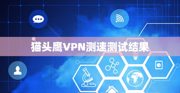 猫头鹰VPN测速测试结果