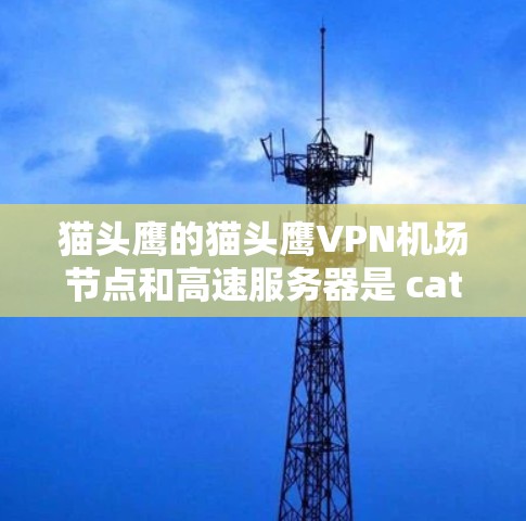 猫头鹰的猫头鹰VPN机场节点和高速服务器是 cats头鹰为紧急情况下的通信和数据管理设计的高科技设备。以下是它们的主要功能和应用场景