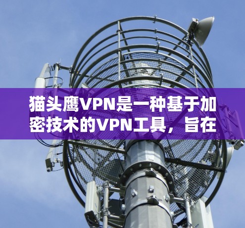 猫头鹰VPN是一种基于加密技术的VPN工具，旨在提供安全、可靠的网络连接。它利用加密算法来保护用户的数据和网络流量，确保用户在使用过程中数据安全、传输安全。以下是关于猫头鹰VPN的一些关键信息