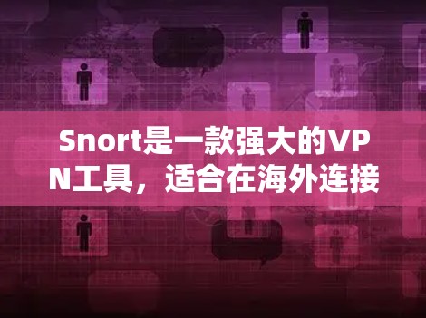 Snort是一款强大的VPN工具，适合在海外连接多个国家的用户使用。它提供全面的VPN功能，包括防火墙、安全协议、多国过滤等，确保用户的安全和稳定性。以下是使用Snort科学上网的步骤