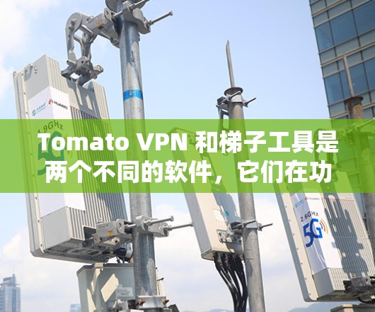 Tomato VPN 和梯子工具是两个不同的软件，它们在功能和用途上有所不同。以下是它们的详细对比