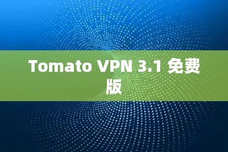 Tomato VPN 3.1 免费版