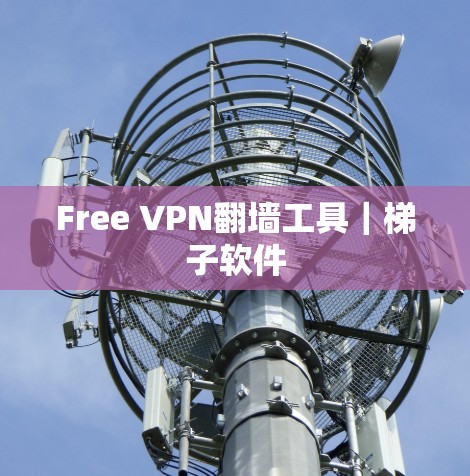 Free VPN翻墙工具｜梯子软件