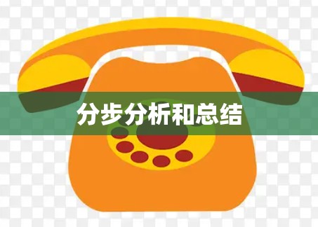 分步分析和总结