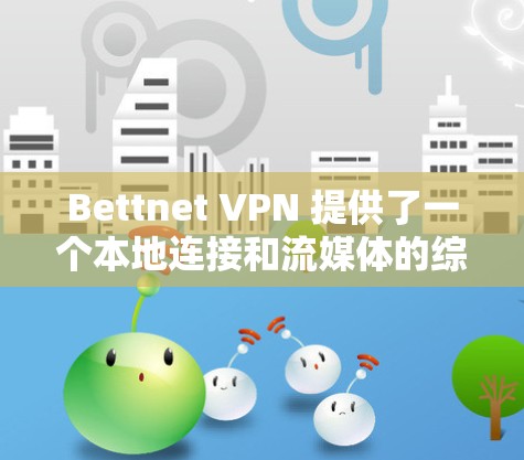 Bettnet VPN 提供了一个本地连接和流媒体的综合解决方案，支持多种连接方式。以下是关于 Bettownet VPN 节点的测试和性能信息