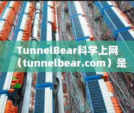 TunnelBear科学上网（tunnelbear.com）是一个专注于科学计算和网络分析的平台。以下是对该平台在海外访问情况的详细分析
