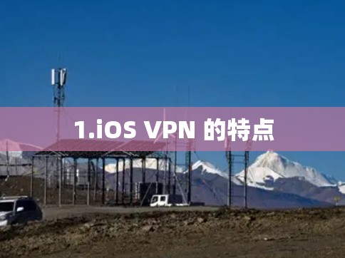 1.iOS VPN 的特点