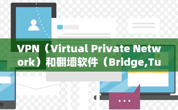 VPN（Virtual Private Network）和翻墙软件（Bridge,Tunnel）是近年来新兴的网络安全工具，主要目的是保护个人和企业在线数据的安全性。以下是关于这些工具的详细分析