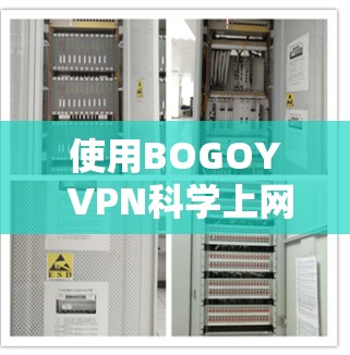 使用BOGOY VPN科学上网是一个全面的技术体验，涉及网络管理、安全保护和用户权限的设置。以下是详细的步骤指南