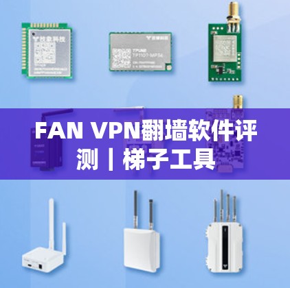FAN VPN翻墙软件评测｜梯子工具
