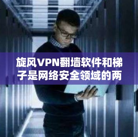 旋风VPN翻墙软件和梯子是网络安全领域的两大重要工具，各自在不同的需求中发挥着关键作用。以下是它们的详细分析和推荐