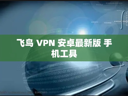 飞鸟 VPN 安卓最新版 手机工具