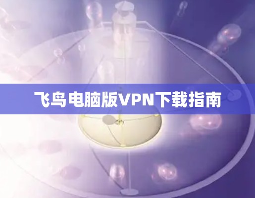 飞鸟电脑版VPN下载指南