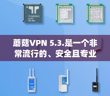 蘑菇VPN 5.3.是一个非常流行的、安全且专业的VPN解决方案。它基于 OpenVPN 标准，支持多种协议，包括 VPN、VPN服务器和 VPN 牢版。以下是关于蘑菇VPN 5.3.的详细介绍