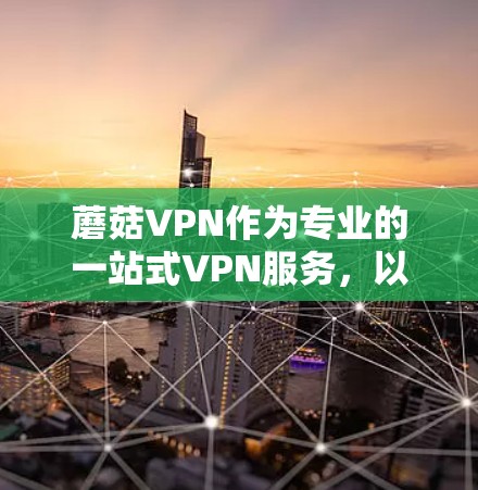 蘑菇VPN作为专业的一站式VPN服务，以其先进的技术和算法而闻名，提供了强大的加密和延迟优化功能。以下是对蘑菇VPN加速体验的详细分析