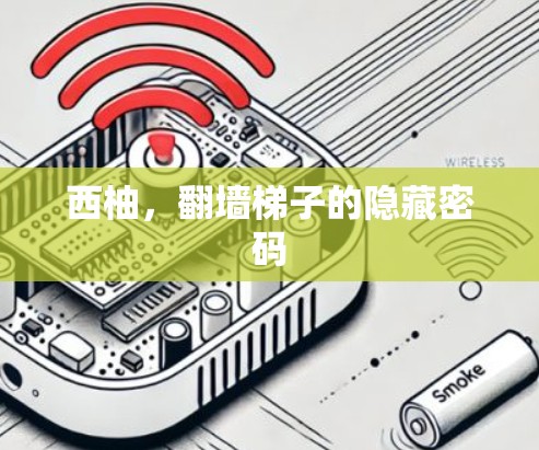 西柚,翻墙梯子的隐藏密码 西柚,翻墙梯子的隐藏密码