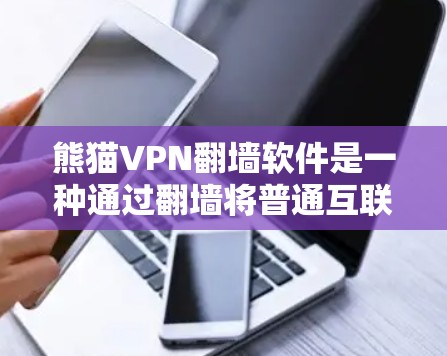 熊猫VPN翻墙软件是一种通过翻墙将普通互联网转换为 blocked 的网络连接，允许用户访问隐藏的网站或VPN服务的工具。以下是对熊猫VPN翻墙软件的详细评测
