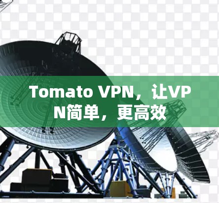 Tomato VPN，让VPN简单，更高效