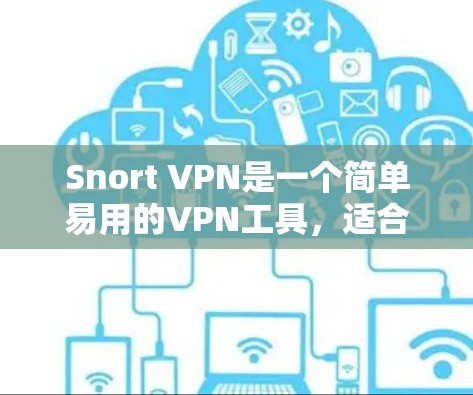 Snort VPN是一个简单易用的VPN工具，适合那些不想安装复杂的VPN软件的人。以下是使用Snort VPN的基本步骤和教程