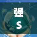 强S VPN 工具电脑版，全面的VPN解决方案