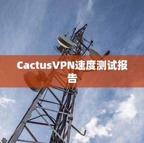 CactusVPN速度测试报告 CactusVPN速度测试报告