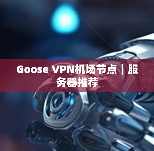 Goose VPN机场节点｜服务器推荐
