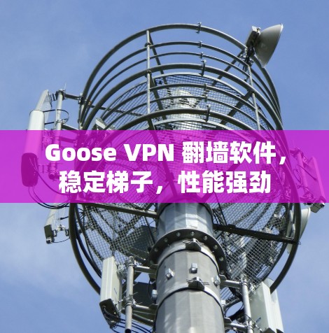 Goose VPN 翻墙软件,稳定梯子,性能强劲 Goose VPN 翻墙软件,稳定梯子,性能强劲