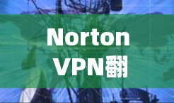 Norton VPN翻墙工具和VPN梯子软件都是用于VPN解决方案的工具，各有其独特的优势和适用场景。以下是详细的分析