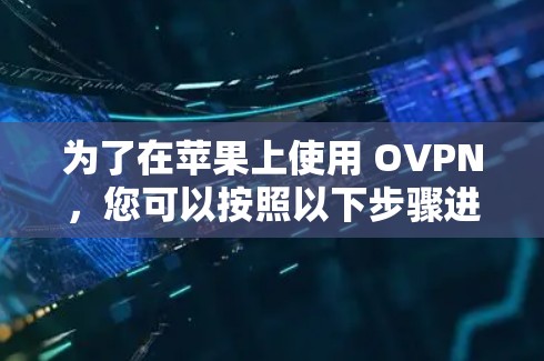 为了在苹果上使用 OVPN，您可以按照以下步骤进行设置