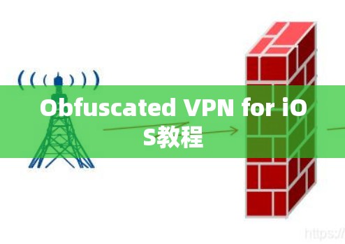 Obfuscated VPN for iOS教程