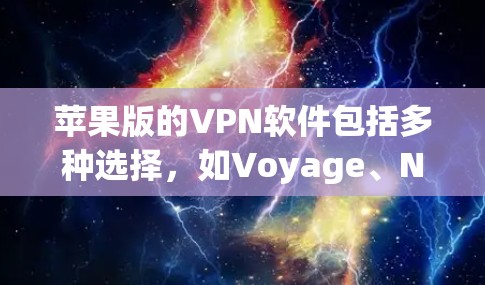 苹果版的VPN软件包括多种选择，如Voyage、NetNest和Kapwing等。以下是几种苹果版VPN软件的详细介绍